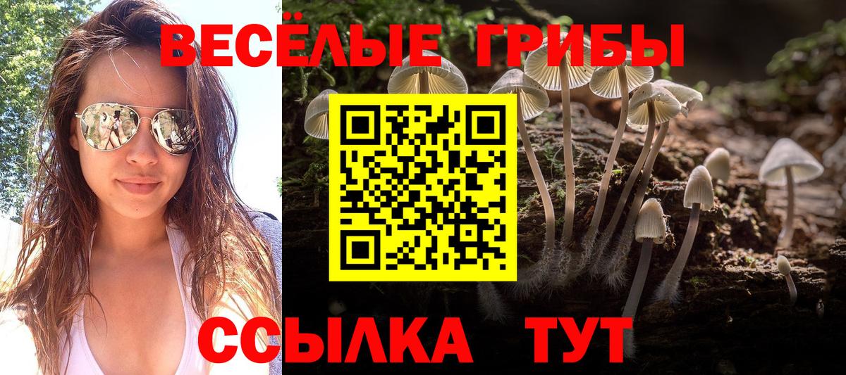 где купить наркотик  Вход с VPN  Псилоцибиновые грибы прущие грибы  Ялуторовск  Псилоцибиновые грибы MAGIC MUSHROOMS 